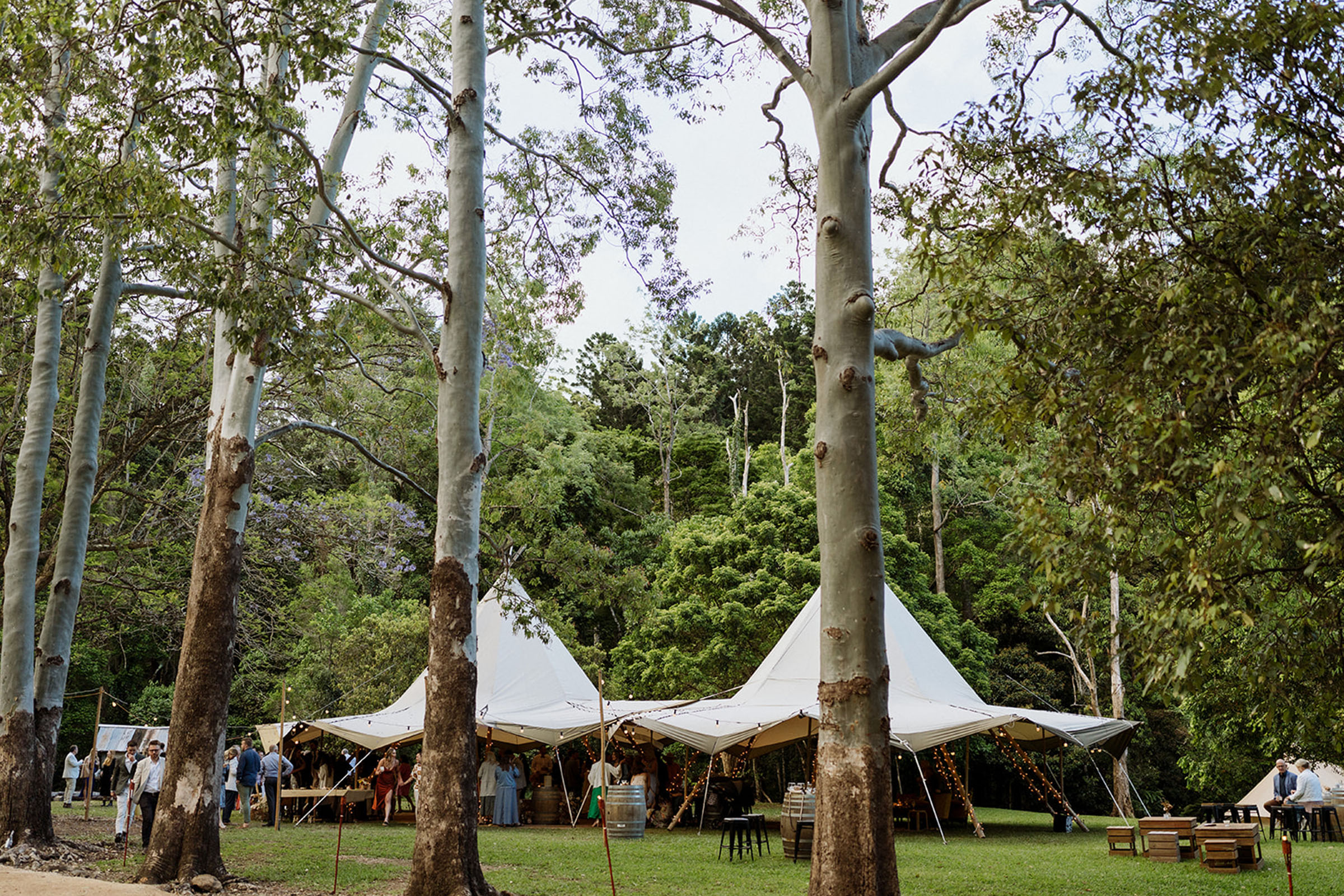 Bedouin and camping tents on the lawn at Midginbil Eco Resort